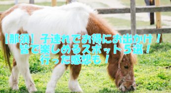 【那須】子連れでお得にお出かけ！皆で楽しめるスポット５選！！行った感想も！