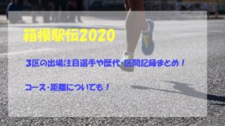 箱根駅伝2020,3区,出場注目選手,歴代記録,区間記録,コース,距離